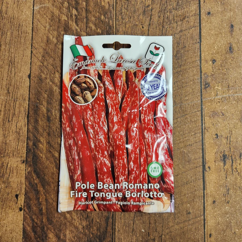 Haricot grimpant 'Romano Fire Tongue Borlotto' (Phaseolus vulgaris)