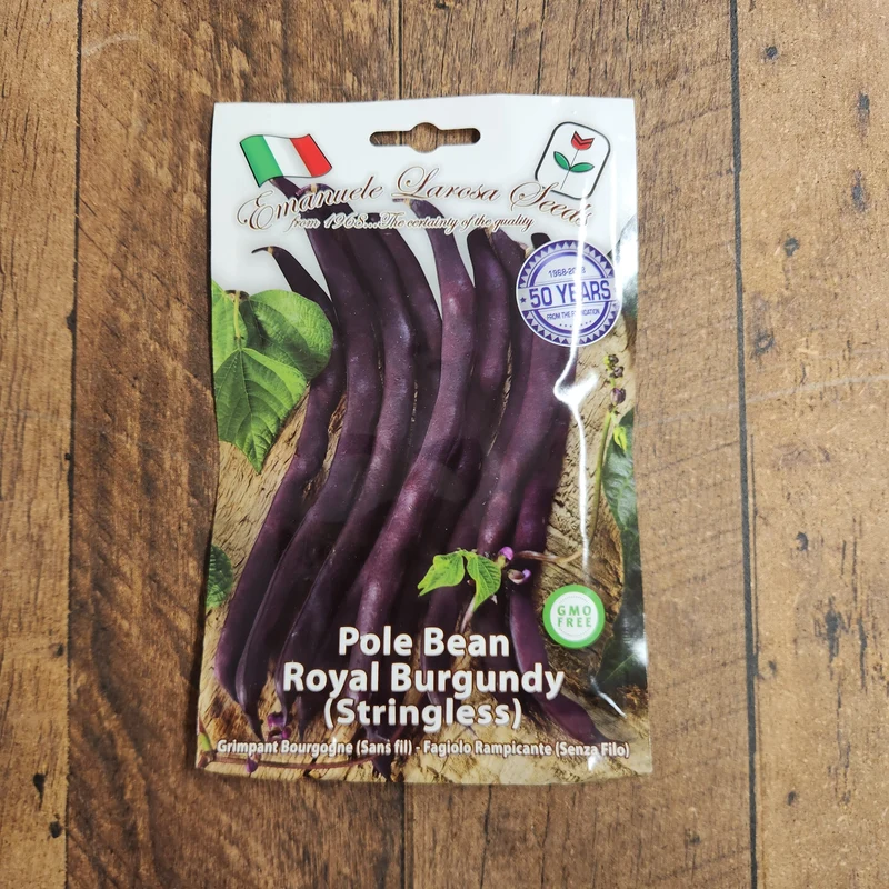 Haricot grimpant 'Royal Burgundy' (Phaseolus vulgaris)