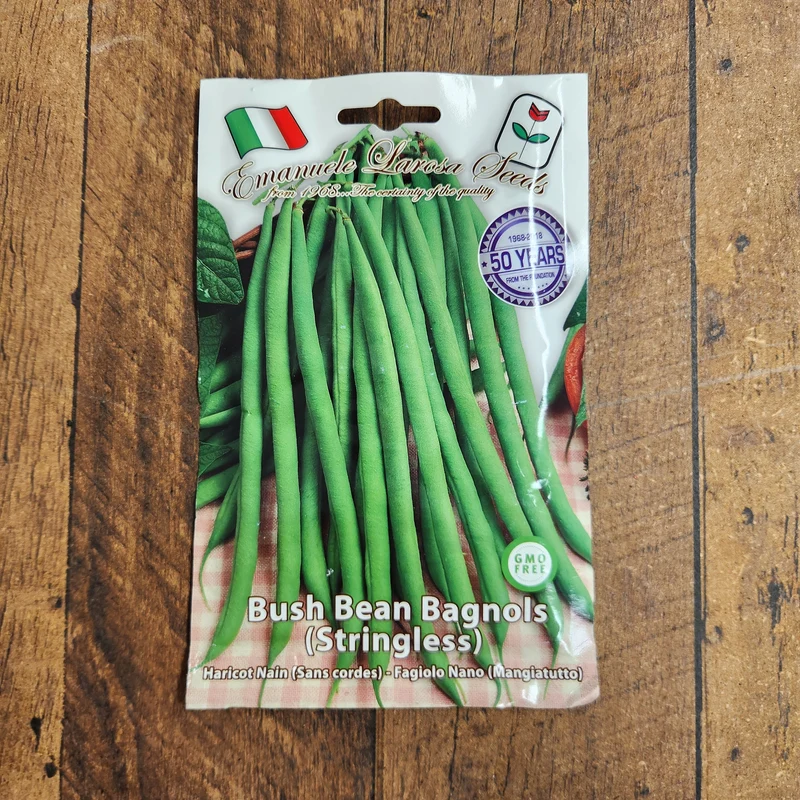 Haricot nain 'Bagnols' (Phaseolus vulgaris)