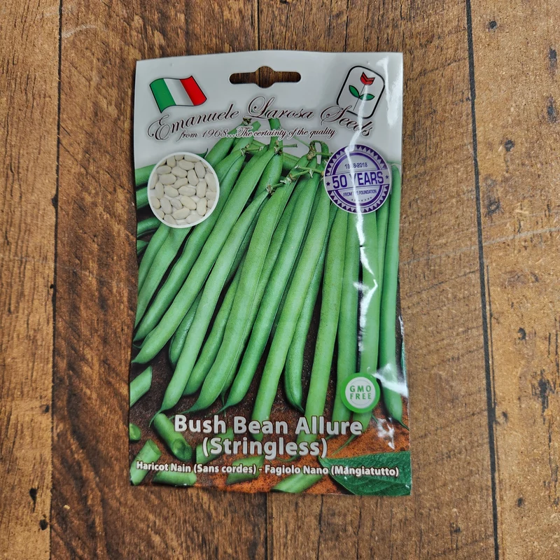Haricot nain 'Allure' (Phaseolus vulgaris)