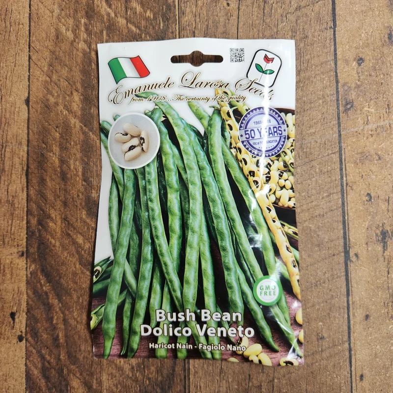 Haricot nain 'Dolico Veneto' (Vigna unguiculata)