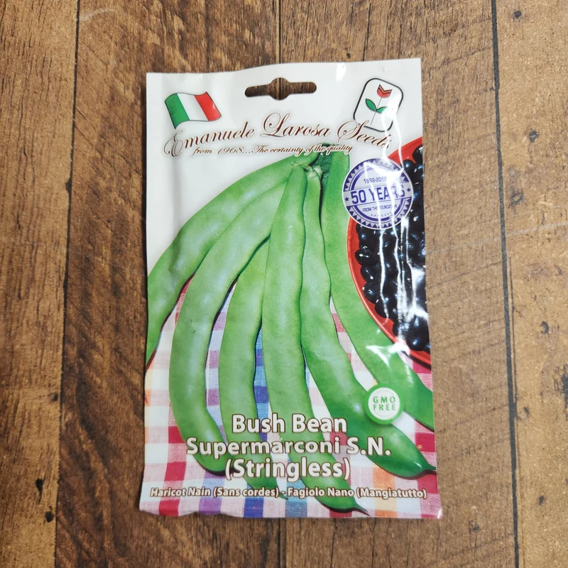 Haricot nain 'Marconi S.N.' (Phaseolus vulgaris)