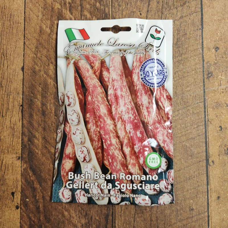 Haricot nain 'Romano Gellert' (Phaseolus vulgaris)