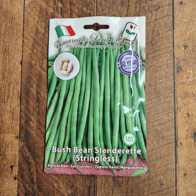 Haricot nain 'Slenderette' (Phaseolus vulgaris)