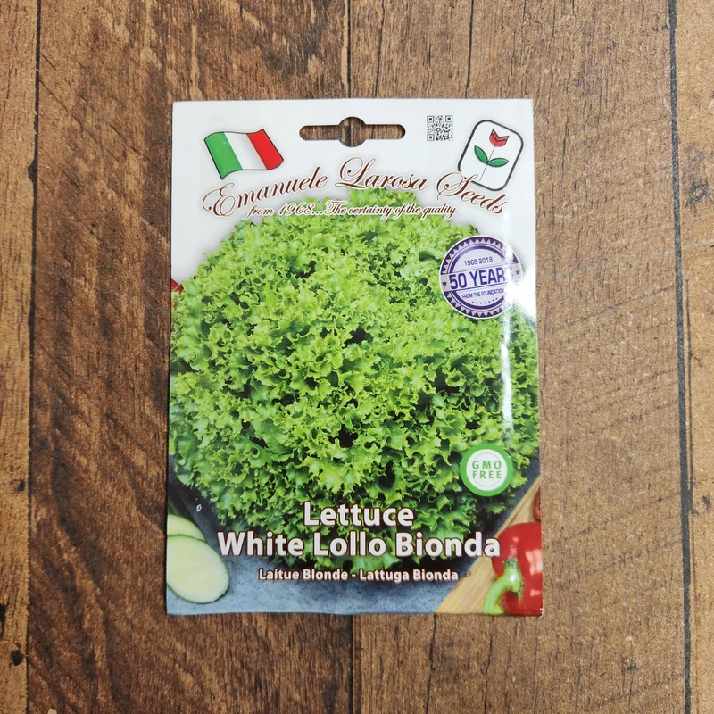 Laitue blanche 'Lollo Bionda' (Lactuca sativa)