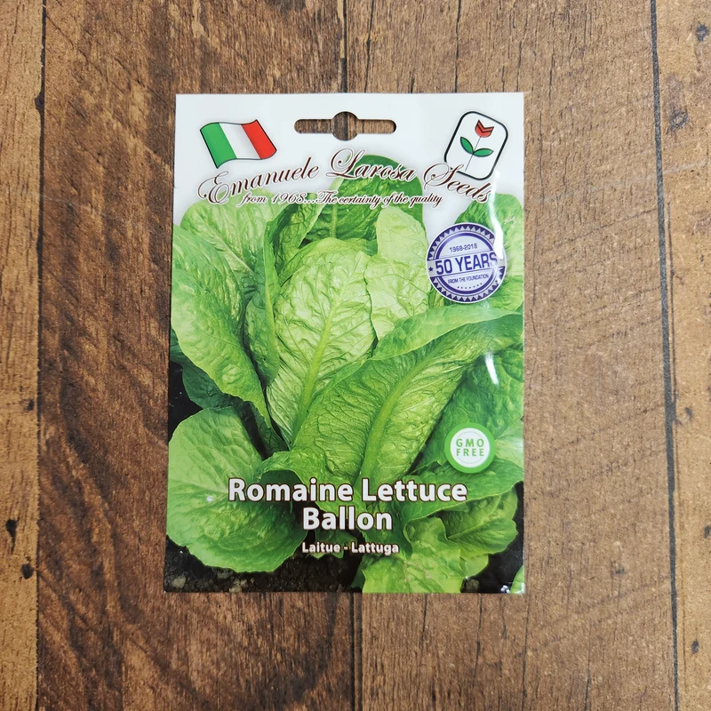 Laitue romaine 'Ballon' (Lactuca sativa)