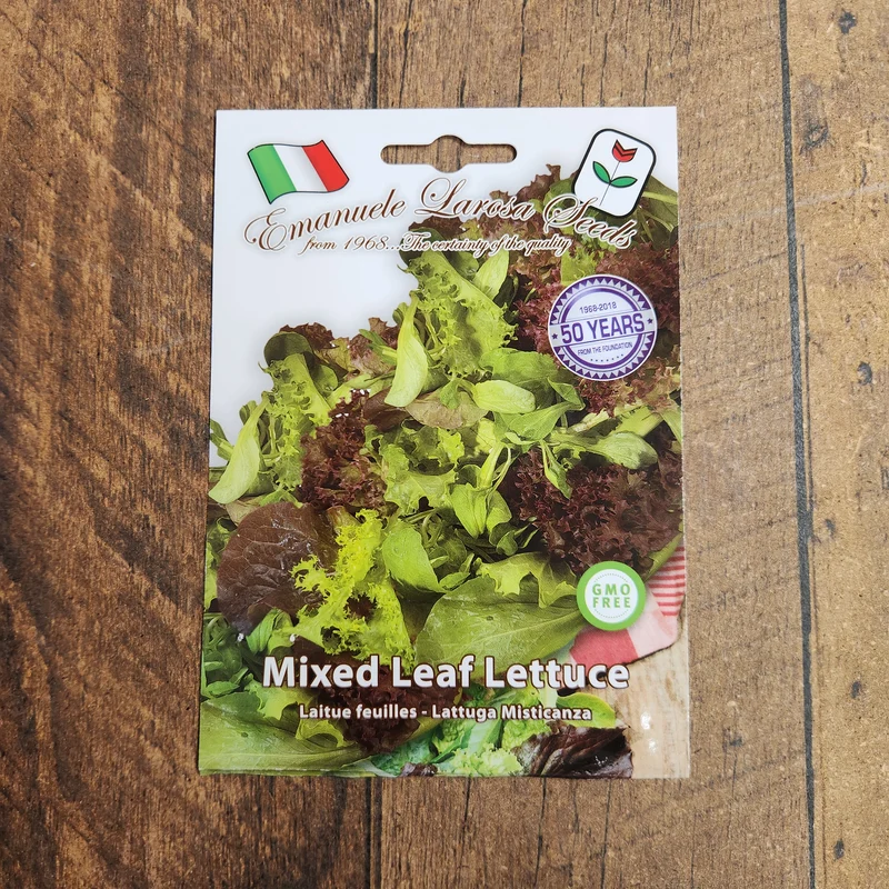 Mélange de laitues 'Misticanza' (Lactuca sativa)
