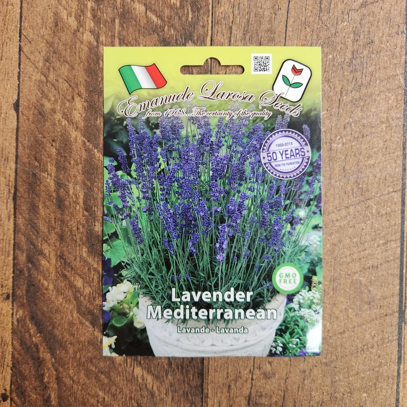 Lavande méditerranéenne (Lavandula spp.)