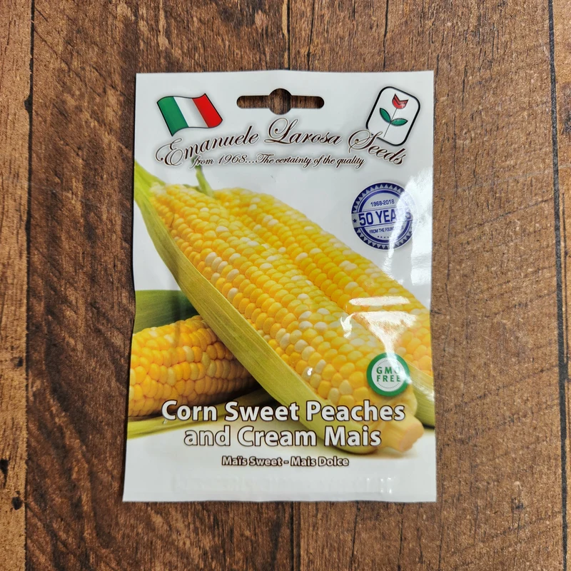 Maïs sucré 'Peaches and Cream' (Zea mays)