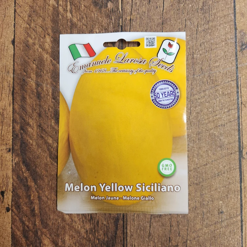 Melon 'Siciliano' (Cucumis melo)