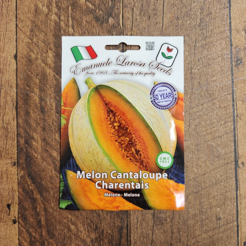 Melon cantaloup 'Charentais' (Cucumis melo var. cantalupensis)