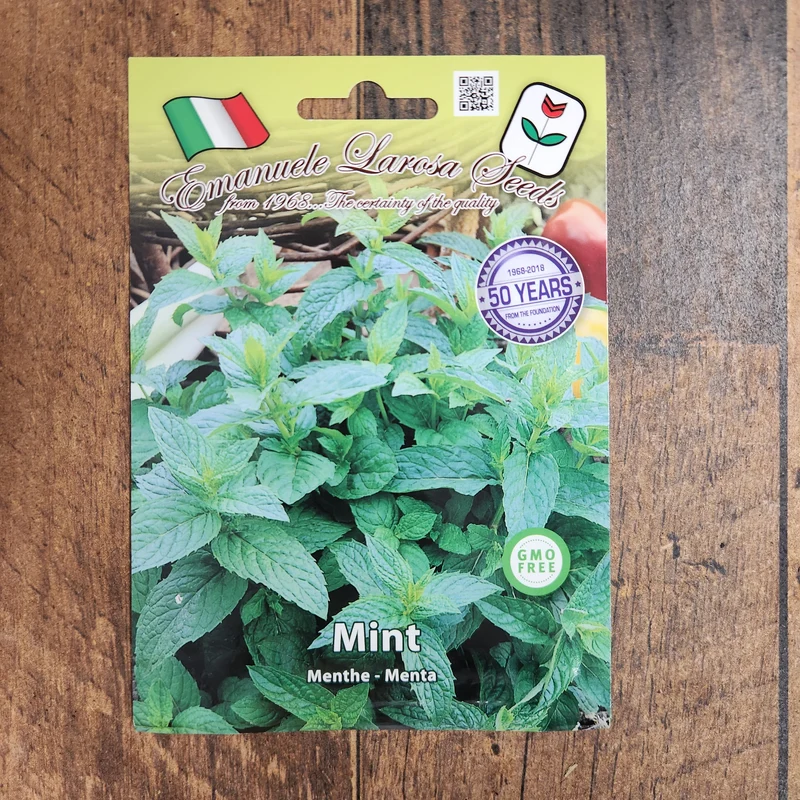Menthe (Mentha spp.)