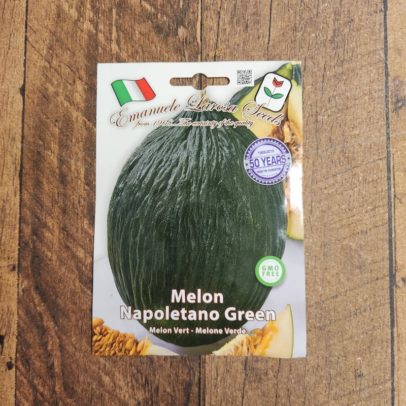 Melon 'Napoletano Verde' (Cucumis melo)
