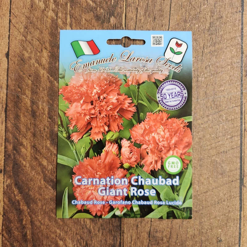 Œillet Chabaud rose (Dianthus caryophyllus)