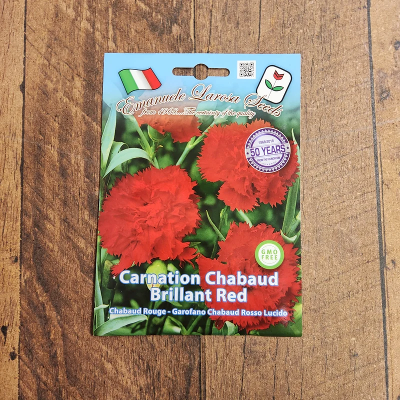Œillet Chabaud rouge (Dianthus caryophyllus)