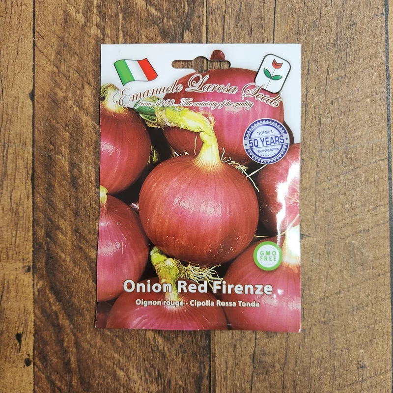 Oignon rouge 'Rossa di Toscana Tonda' (Allium cepa)
