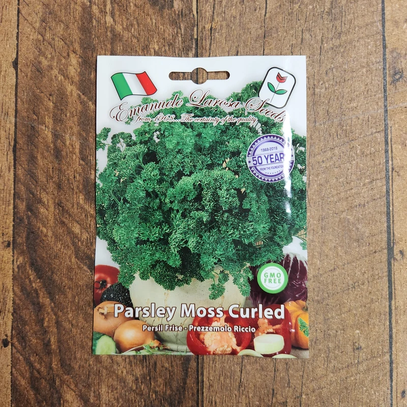 Persil frisé 'Moss Green' (Petroselinum crispum)