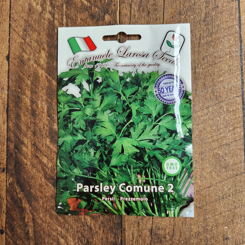 Persil plat 'Comune 2' (Petroselinum crispum)