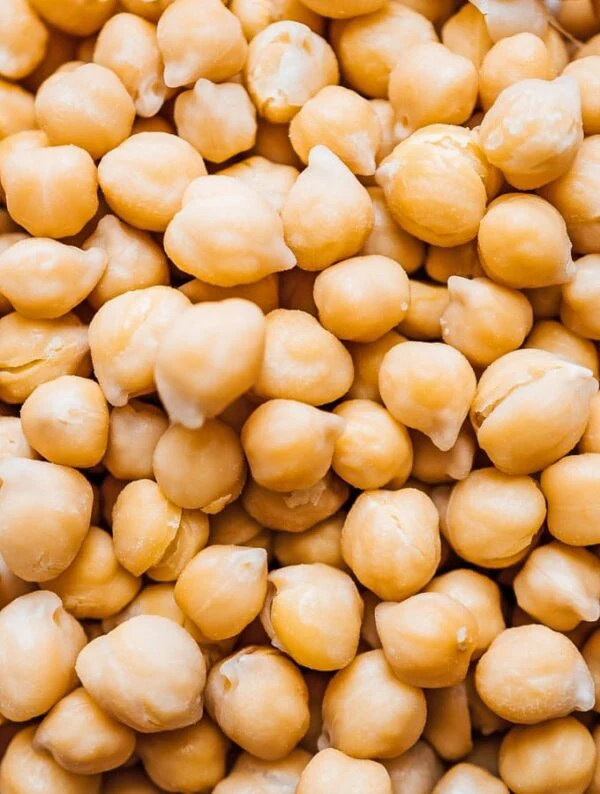 Pois chiche à graines blanches (Cicer arietinum)