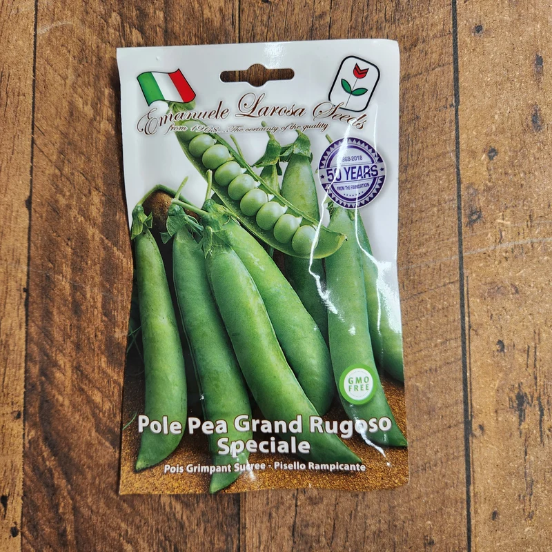 Pois grimpant 'Grand Rugoso Speciale' (Pisum sativum)