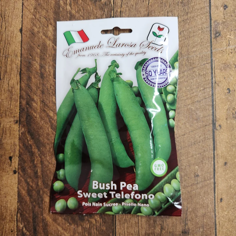 Pois nain 'Sweet Telefono' (Pisum sativum)