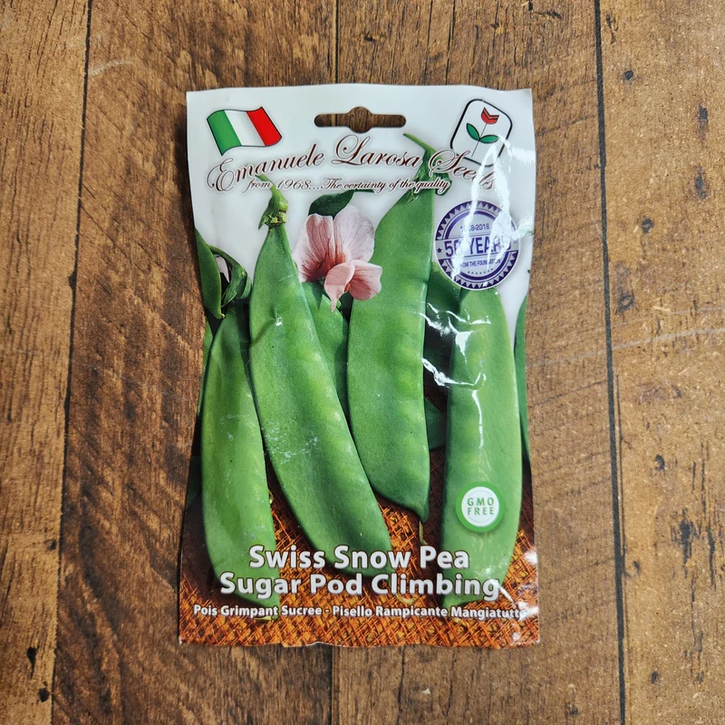 Pois mange-tout grimpant 'Swiss Snow Pea Sugar Pod' (Pisum sativum)