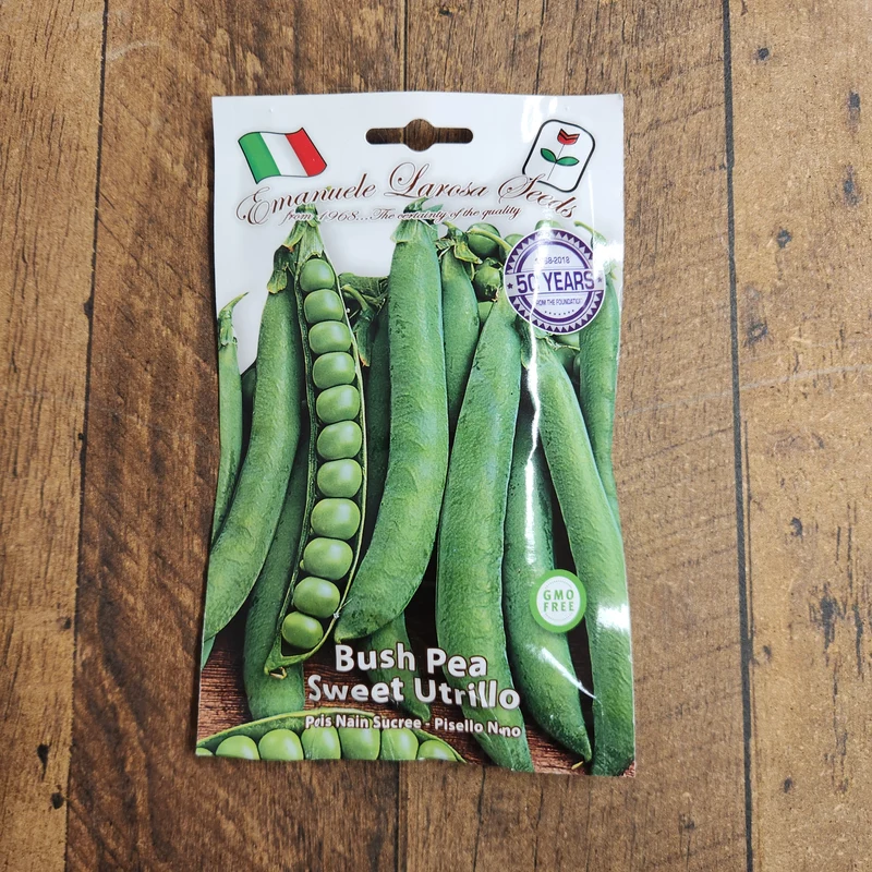 Pois nain 'Utrillo' (Pisum sativum)