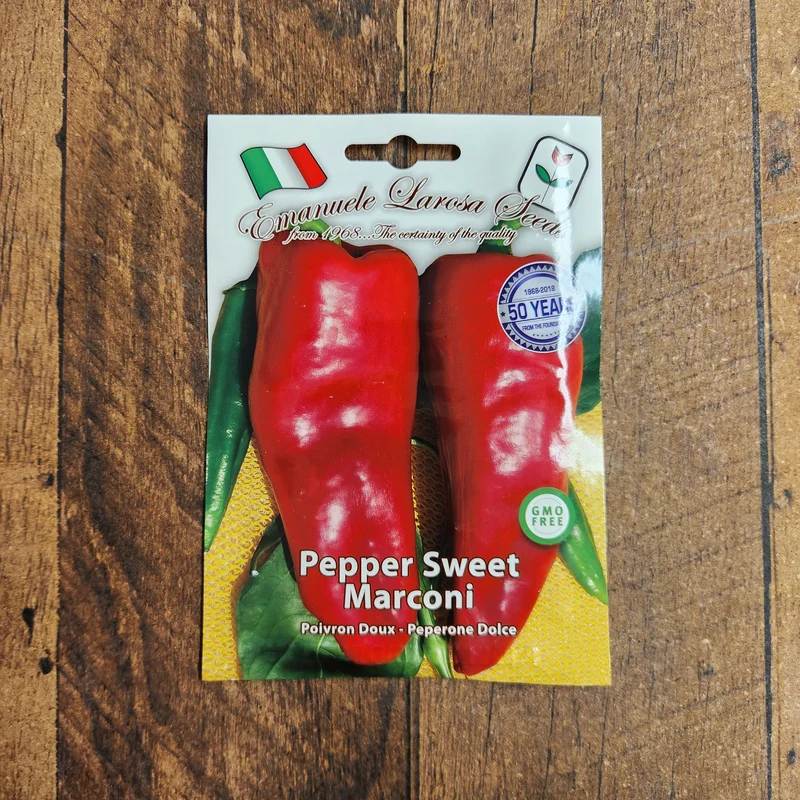 Poivron rouge 'Marconi' (Capsicum annuum)
