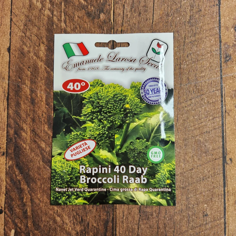 Rapini 'Quarantina' (Brassica rapa)