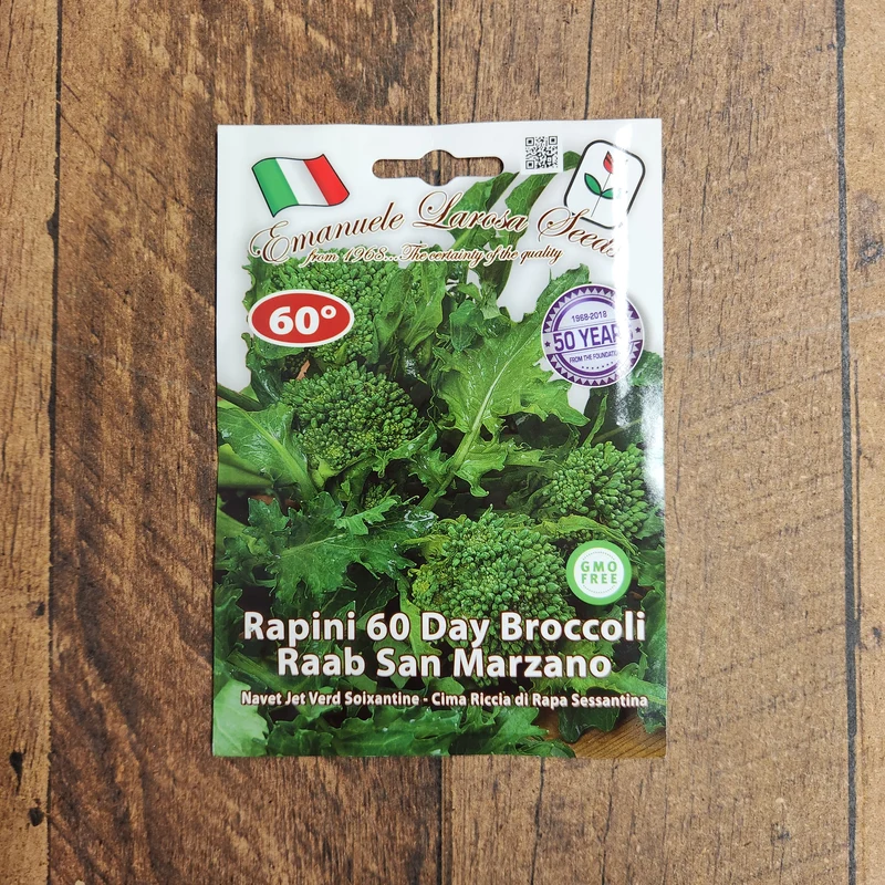 Rapini 'Riccia di San Marzano Sessantina' (Brassica rapa)
