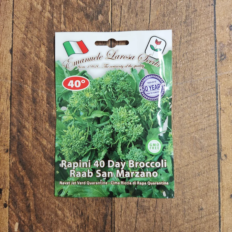 Rapini 'Riccia di San Marzano Quarantina' (Brassica rapa)