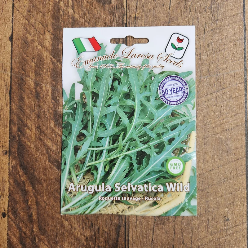 Roquette sauvage (Diplotaxis tenuifolia)