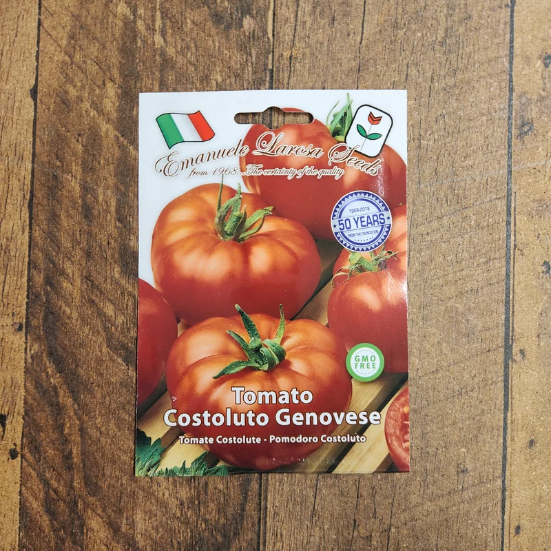 Tomate côtelée 'Costoluto Genovese Fiorentino' (Solanum lycopersicum)