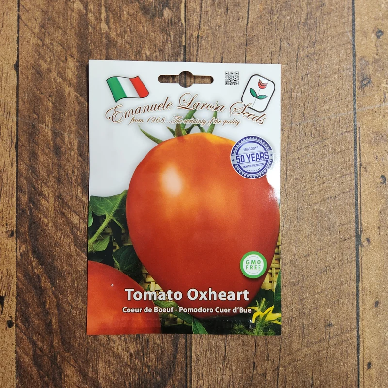 Tomate cœur de bœuf 'Cuor di Bue' (Solanum lycopersicum)