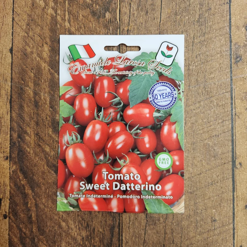 Tomate 'Datterino' (Solanum lycopersicum)