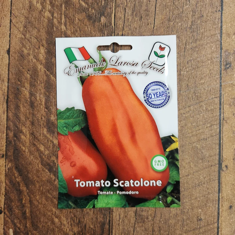 Tomate 'Scatolone' (Solanum lycopersicum)
