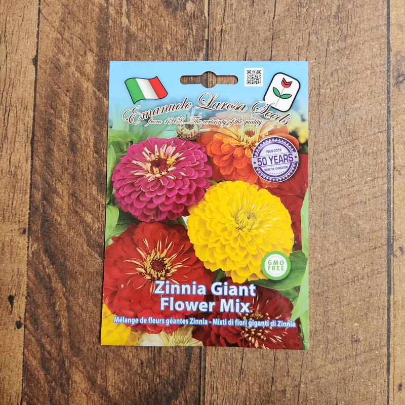 Mélange de zinnias géants 'Giant Flower' (Zinnia elegans)