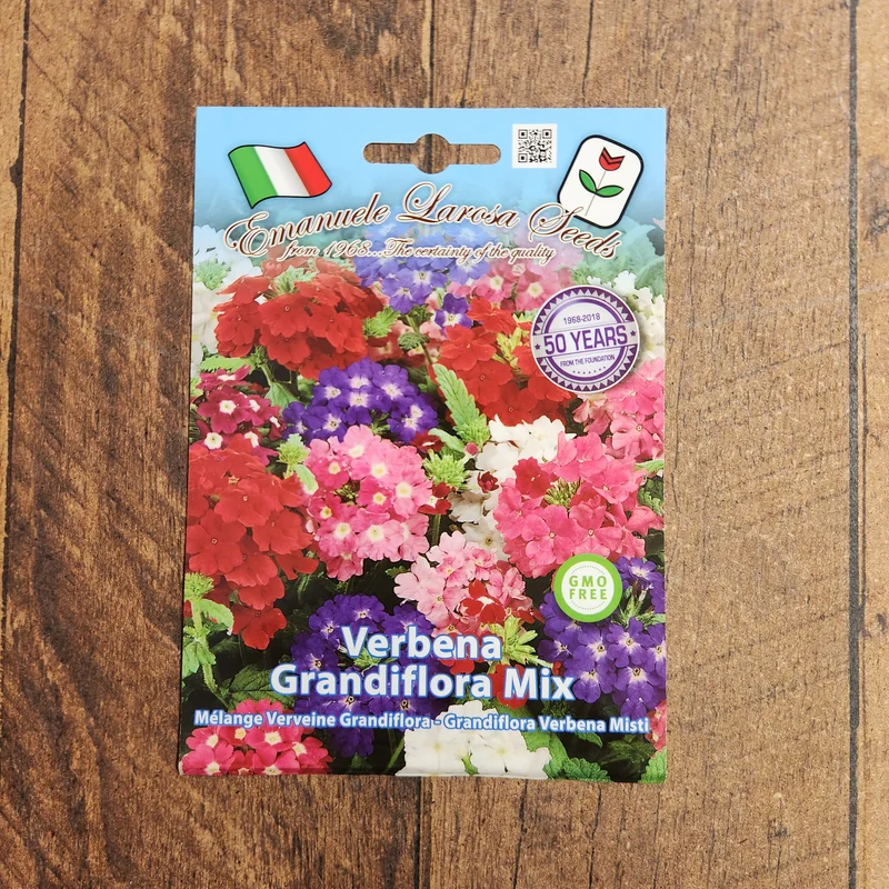 Mélange de verveines à grandes fleurs 'Grandiflora' (Glandularia × hybrida)