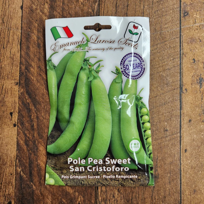 Pois grimpant 'Rondo San Cristoforo' (Pisum sativum)