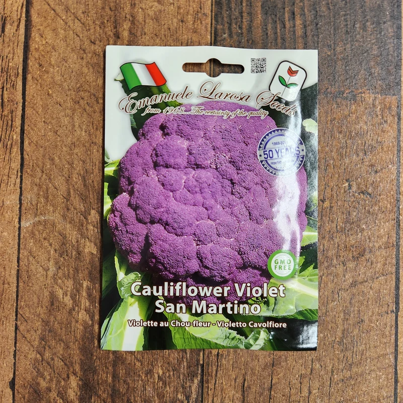Chou-fleur mauve 'Violet San Martino' (Brassica oleracea var. botrytis)