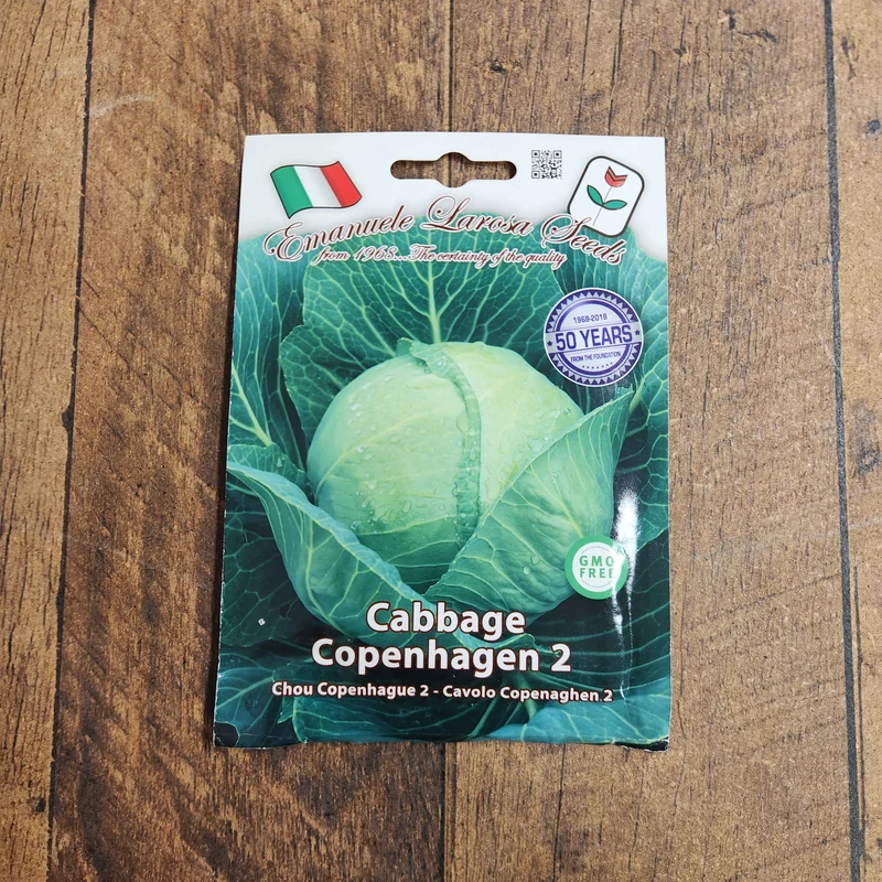 Chou cabus 'Copenhagen 2' (Brassica oleracea var. capitata)