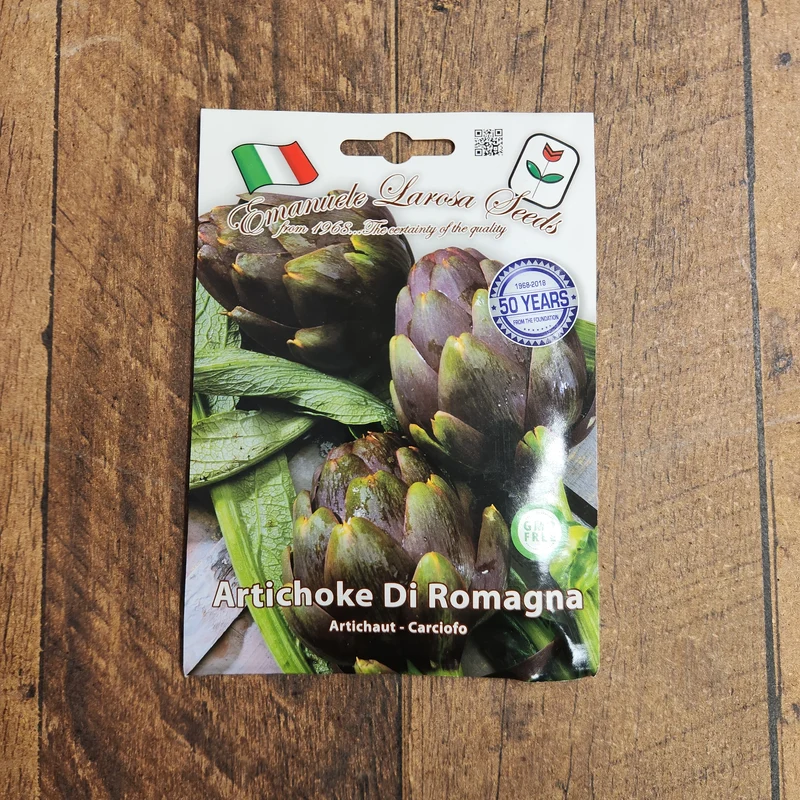 Artichaut 'Di Romagna' (Cynara cardunculus)