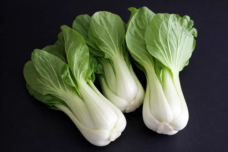Pak-choï 'Baby Pak Choi' (Brassica rapa subsp. chinensis)