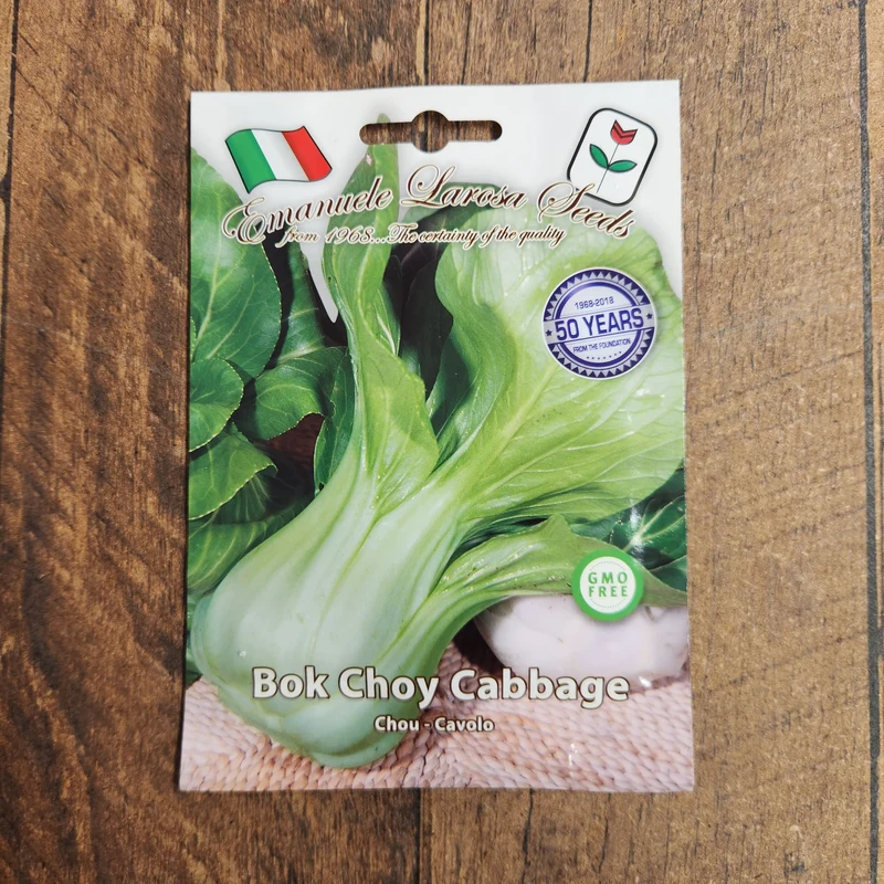 Pak-choï 'Baby Pak Choi' (Brassica rapa subsp. chinensis)