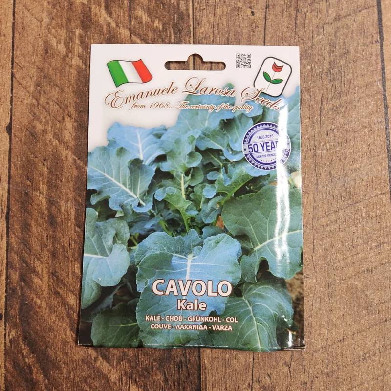 Chou frisé 'Cavolo' (Brassica oleracea var. acephala)