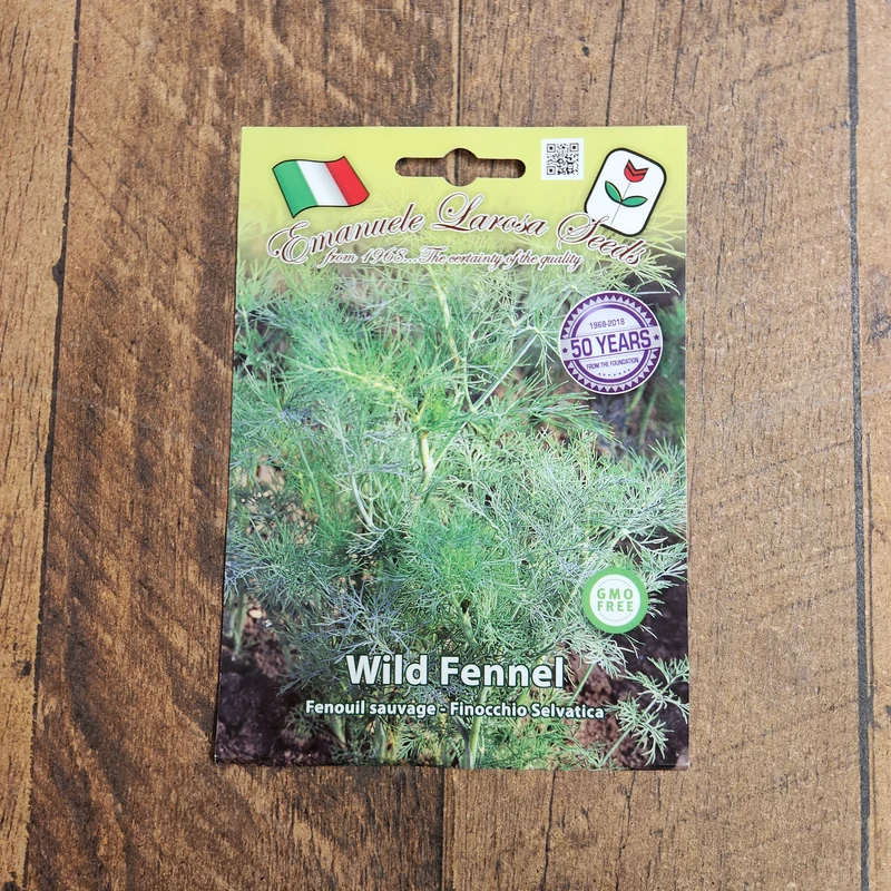 Fenouil sauvage (Foeniculum vulgare)