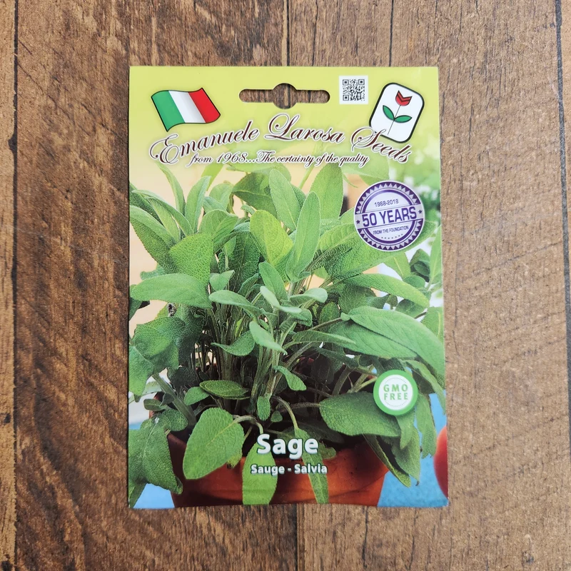 Sauge officinale (Salvia officinalis)