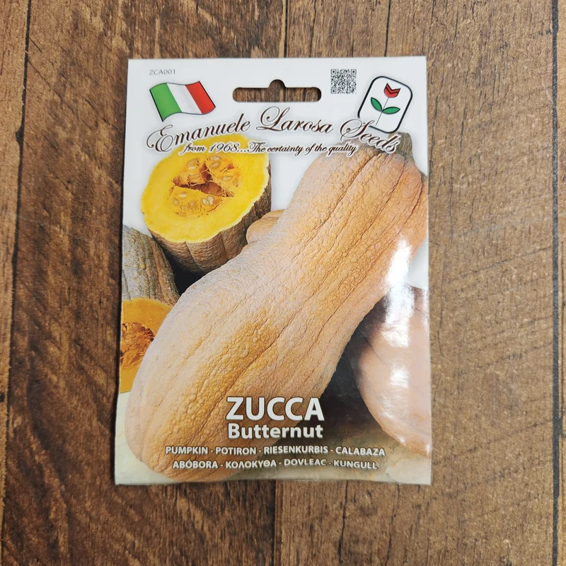 Courge 'Butternut Zucca' (Cucurbita moschata)