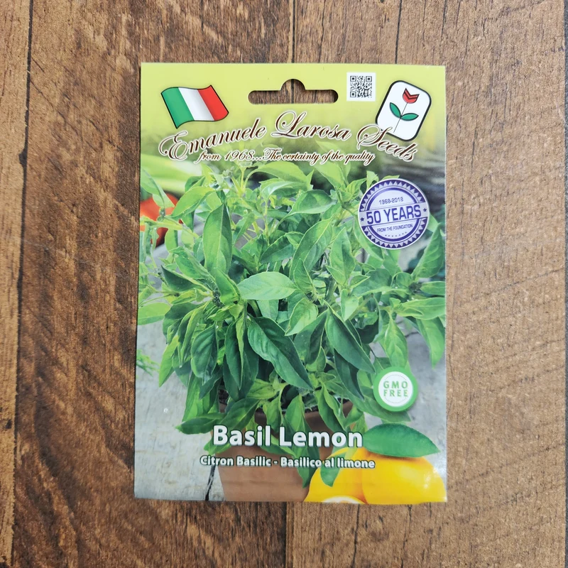 Basilic citron (Ocimum basilicum)