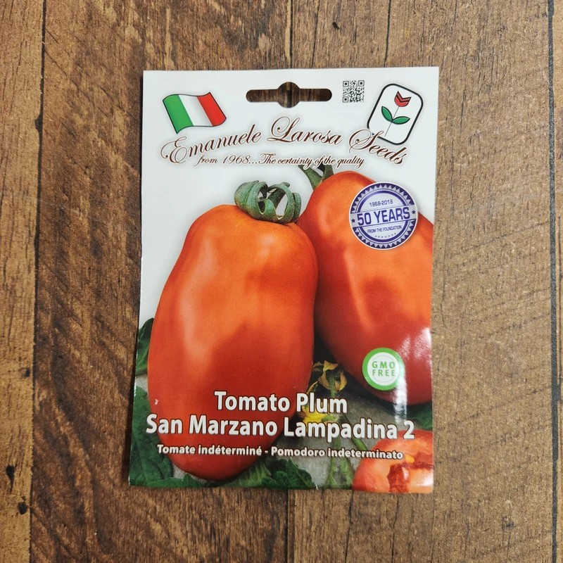 Tomate 'San Marzano Lampadina n°2' (Solanum lycopersicum)